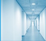 A clean hallway ceiling